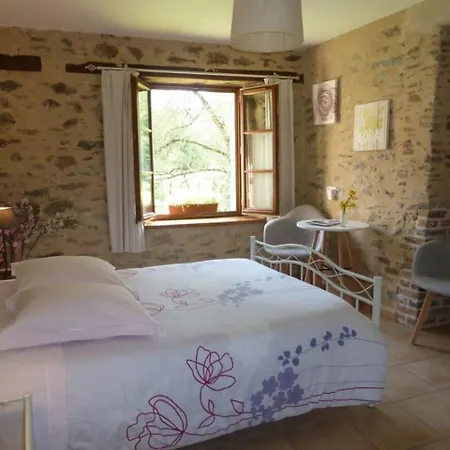 Le Moulin De Drapras Bed & Breakfast Chemille-en-Anjou