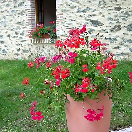 Bed and breakfast Le Moulin De Drapras 3*