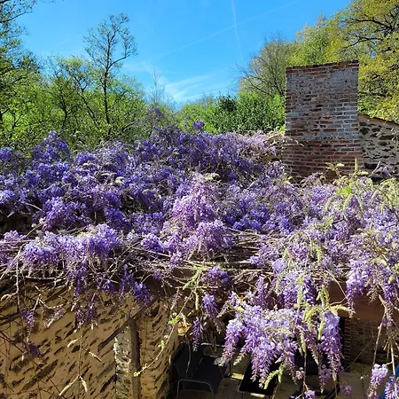 Le Moulin De Drapras Bed & Breakfast Chemille-en-Anjou