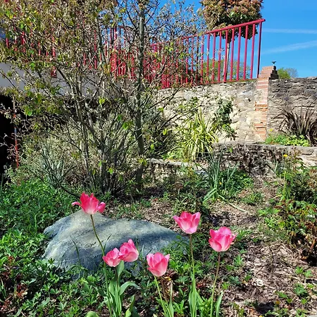 Le Moulin De Drapras Bed & Breakfast Chemille-en-Anjou