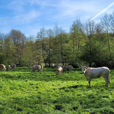 Bed & Breakfast Le Moulin De Drapras 3*