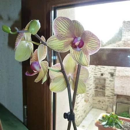 Le Moulin De Drapras Bed and Breakfast 3*