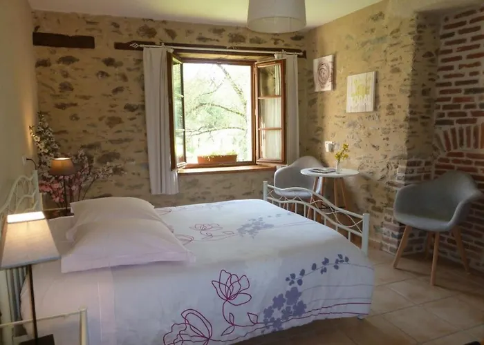 Le Moulin De Drapras Bed & Breakfast Chemille-en-Anjou