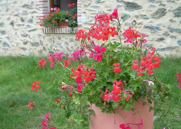 Le Moulin De Drapras Frühstückspension 3*