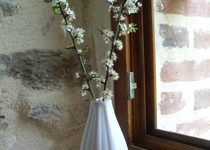 Le Moulin De Drapras