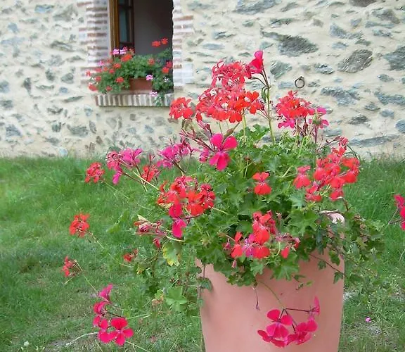 Nocleg ze śniadaniem Le Moulin De Drapras