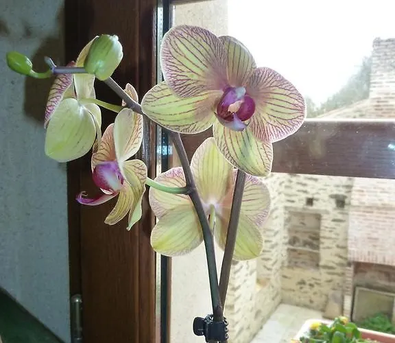 Le Moulin De Drapras Nocleg ze śniadaniem 3*